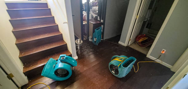 Best Ceiling water damage repair  in North Tunica, MS