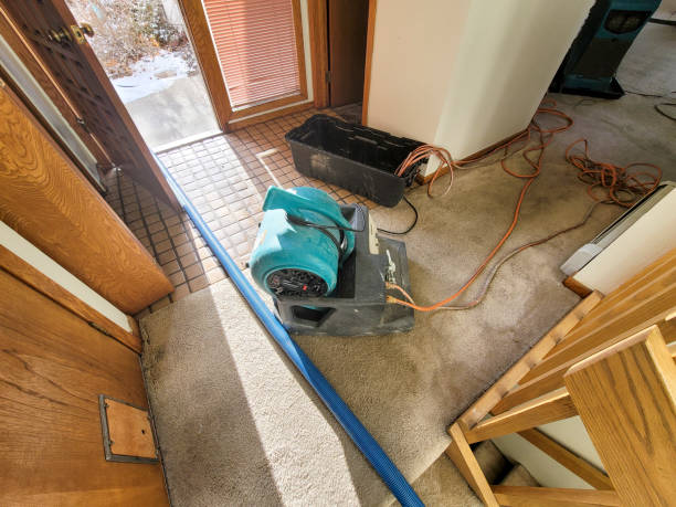 Best Water damage restoration near me  in North Tunica, MS