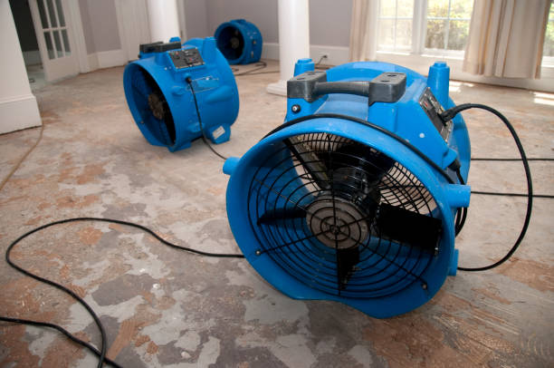 Best Carpet water damage restoration  in North Tunica, MS