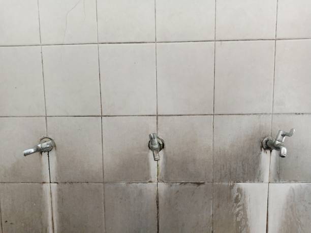 Best Water damage cleanup near me  in North Tunica, MS