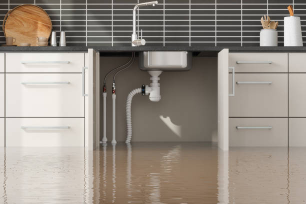 Best Local water damage restoration  in North Tunica, MS