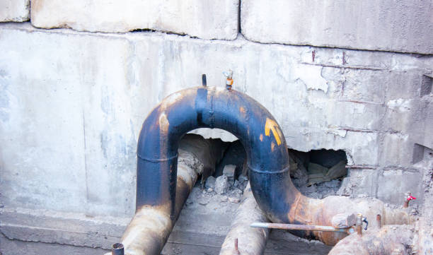 Best Mold removal after water damage  in North Tunica, MS